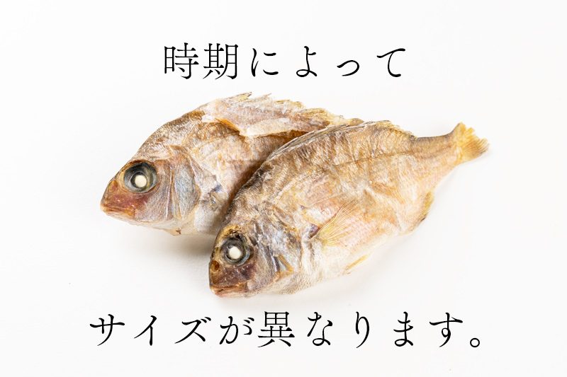 豆鲷