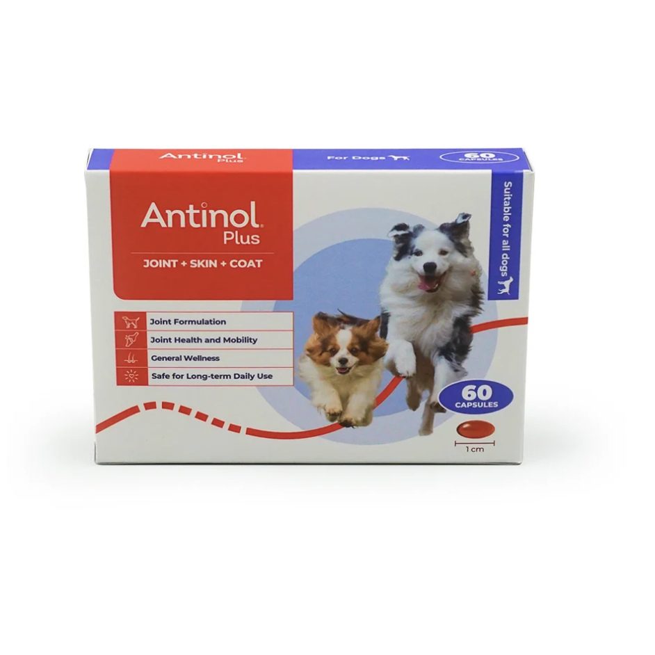 Antinol 犬用 60粒装